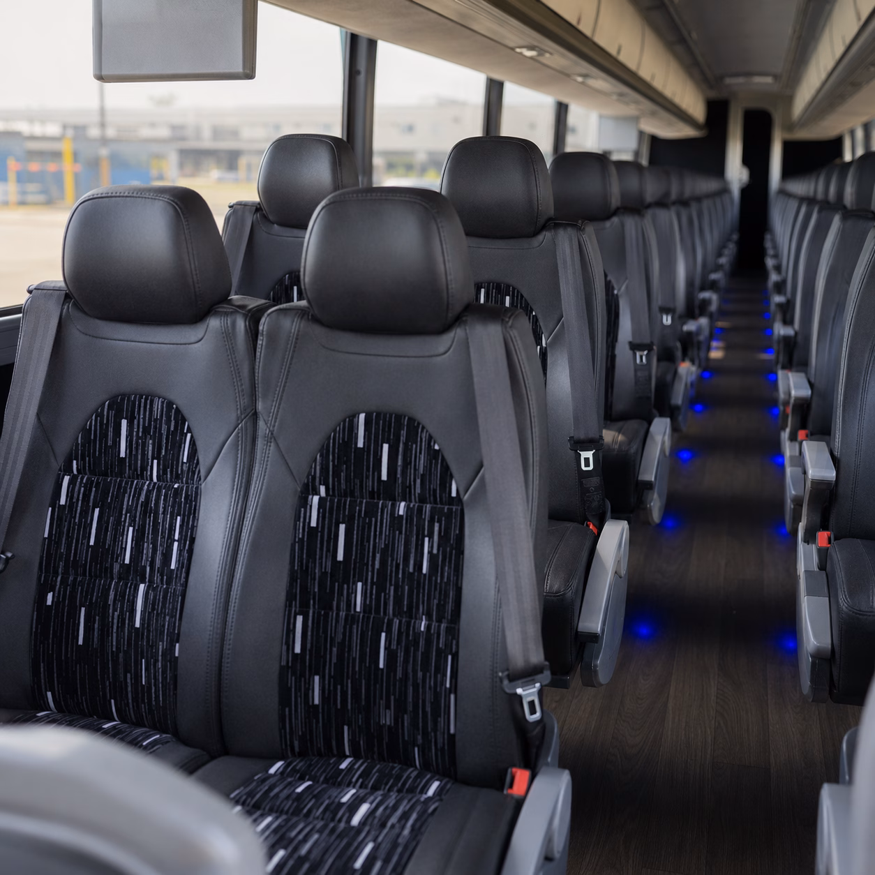 school buses to the museum of arts and sciences and mark smith planetarium